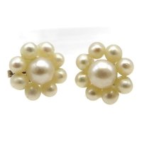 14K Gold Culture Pearl Cluster Pierced Stud Earrings