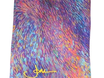 Joni & Friends Silk Scarf, Abstract Colorful Boho Scarf or Sash, 60 inch length